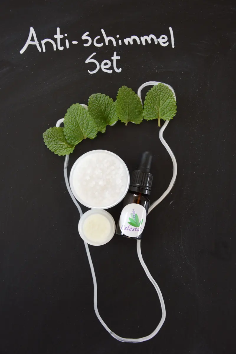 De handgemaakte anti-schimmelset van Salon Handstede op een schoolbord