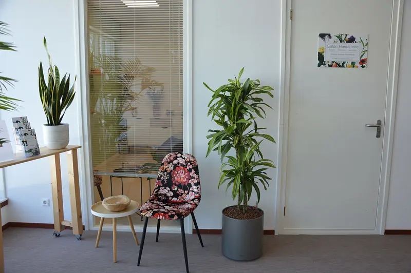 De salonruimte met planten en houten meubels